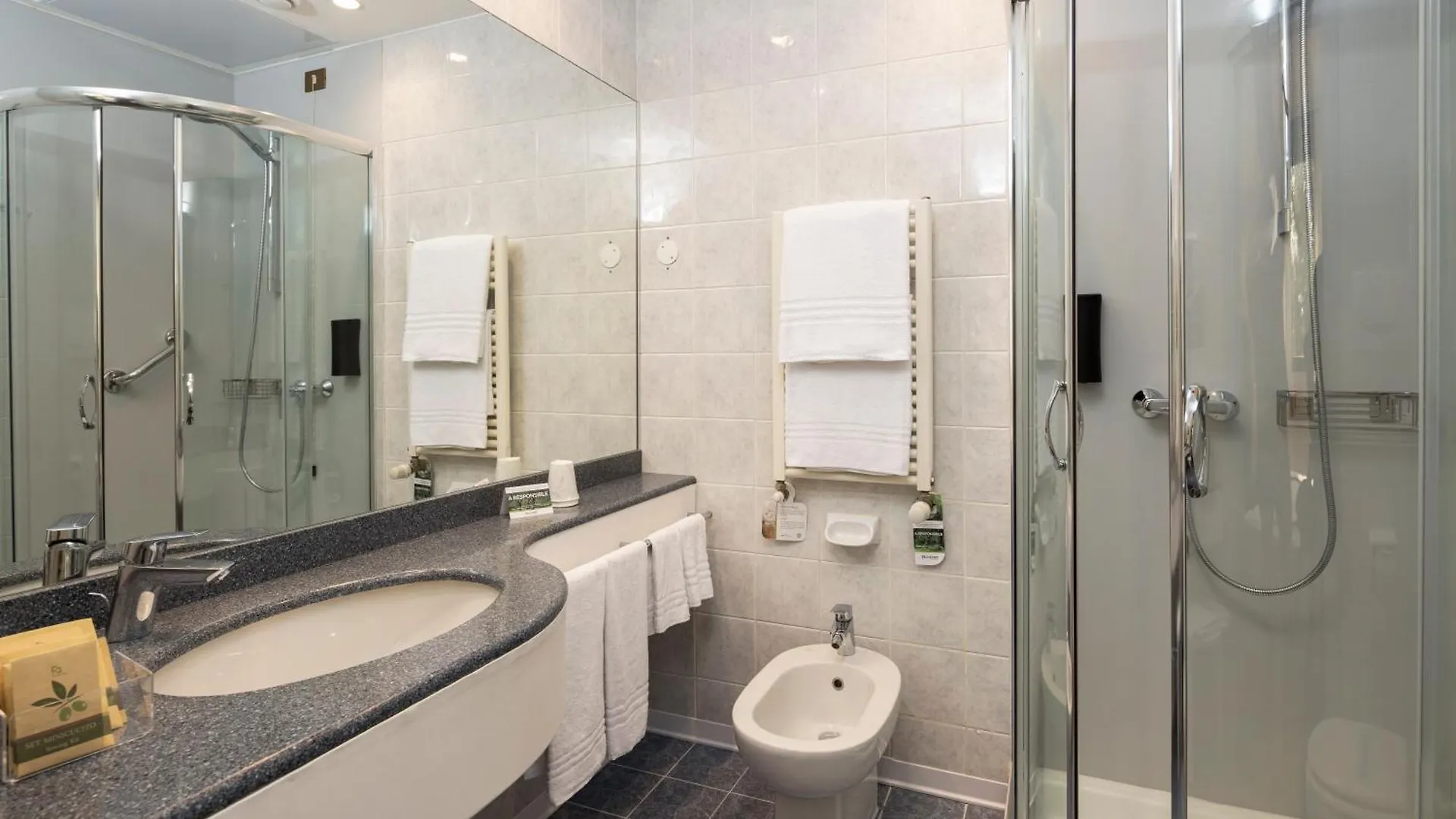 Best Western Air Hotel Linate Segrate Italia