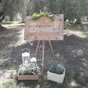 Fonteregia , Montecatini Terme Italien